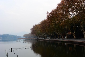 DSC_7884-1