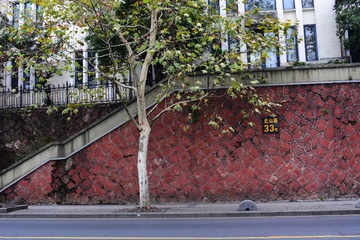 DSC_7887-1