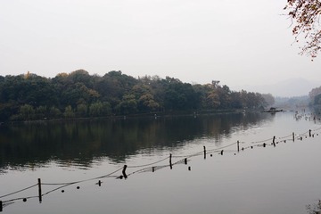 DSC_7906-1