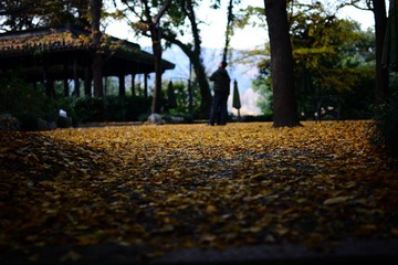 DSC_8174-1