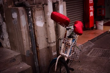 DSC_9321-1