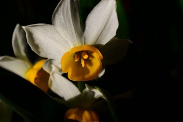 DSC_9539-1-2