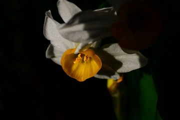 DSC_9544-1