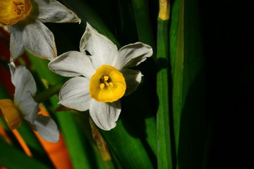DSC_9571-1