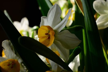 DSC_9580-1