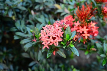 DSC_1257-1