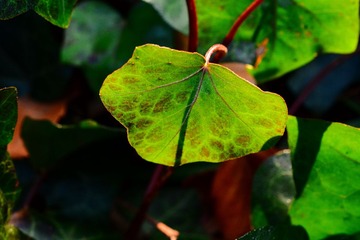 DSC_1573-1