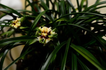DSC_1715-1