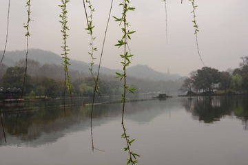 DSC_2552-1
