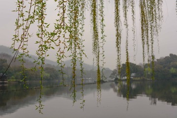 DSC_2555-1