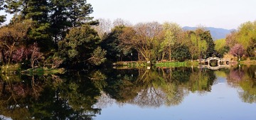 DSC_2767-1