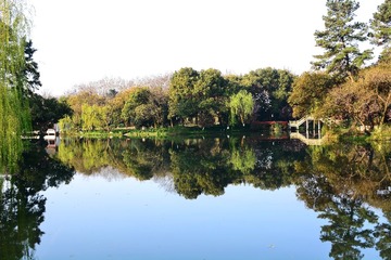 DSC_2769-1