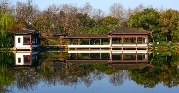 DSC_2781-1