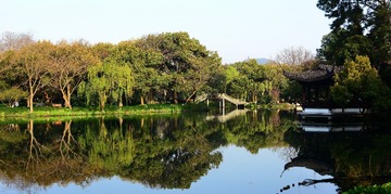 DSC_2784-1