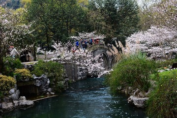 DSC_2946-1