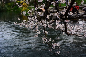 DSC_2969-1