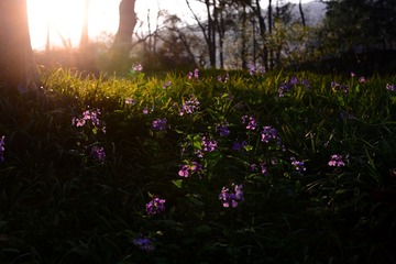 DSC_2996-1