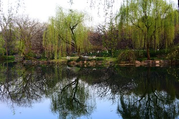 DSC_3019-1