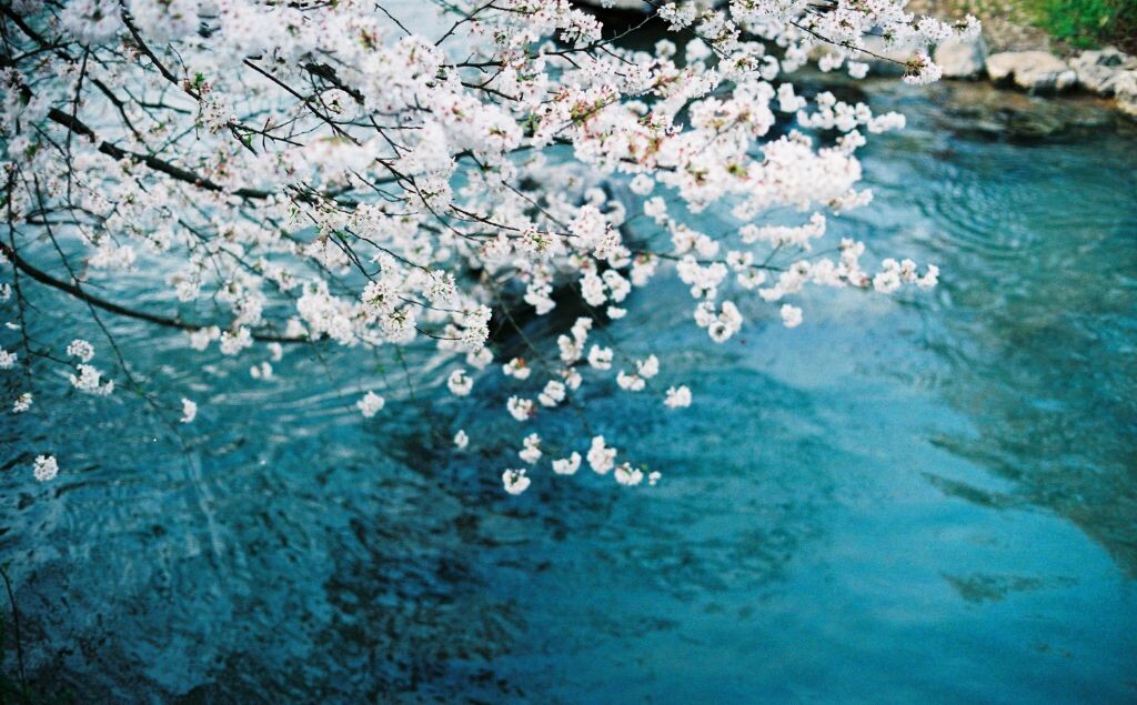 000022 2<br />
