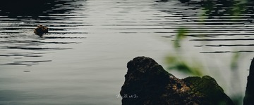 00E2F1D5-003D-4F99-B406-16AC9CBE706E/L0/001