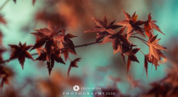 CB797AB9-0D82-497B-A4DF-686272C17326/L0/001
