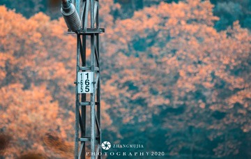 DC5A65F7-CF7A-4460-981F-E40F59AF569F/L0/001