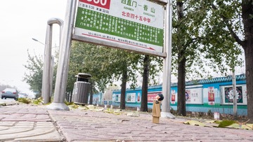 481313