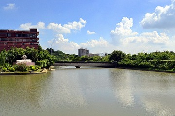 广美