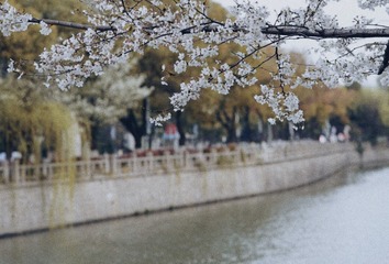 B3497C06-BA14-473D-9259-EF26245D22A3/L0/001
