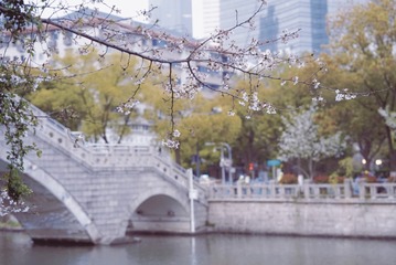 D189B001-E1AE-4312-80D9-0ED302BF59A8/L0/001