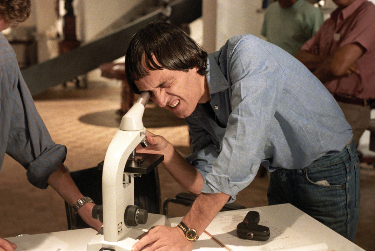 让鸽子飞 br /> 五台山显通寺房脊上的鸽子