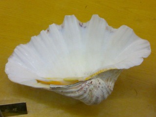 20110403069.jpg
