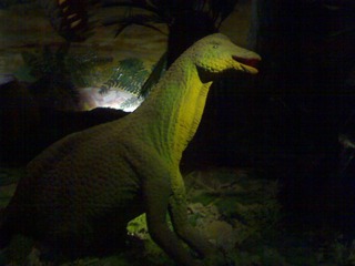 20110403057.jpg