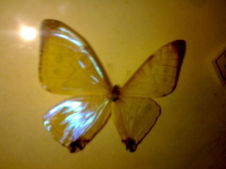 20110403092.jpg