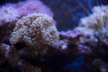 450A7786.jpg