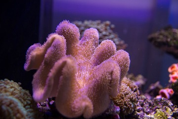 450A7793.jpg