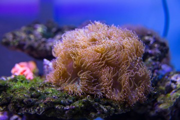 450A7794.jpg