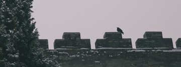 450A7361.jpg