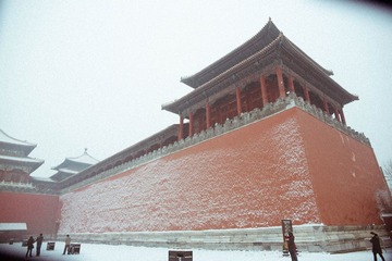450A7362.jpg