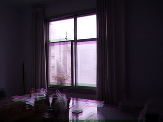 小花园1.jpg