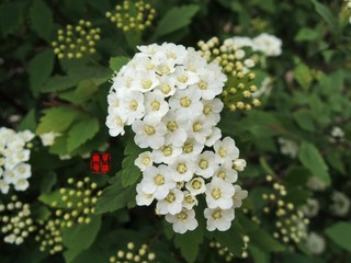 DSCN1022.JPG