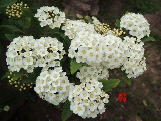DSCN1023.JPG