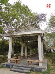 DSCN1030.JPG