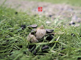 DSCN0194.JPG