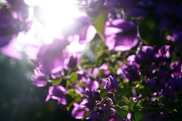 _DSC5273
