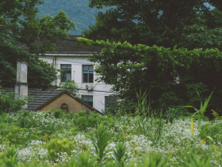 L1040345