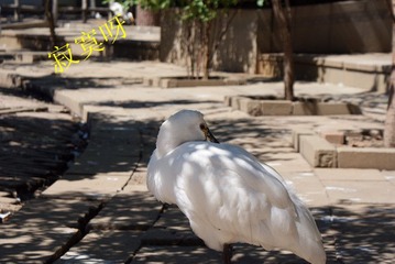 DSC06015_副本.jpg