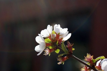 DSC05309_副本.jpg