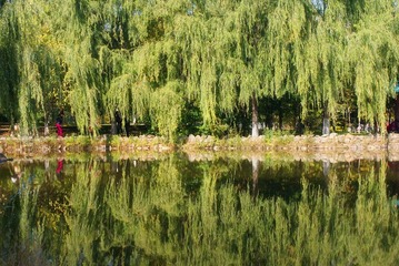 DSC06275_副本.jpg