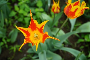 001